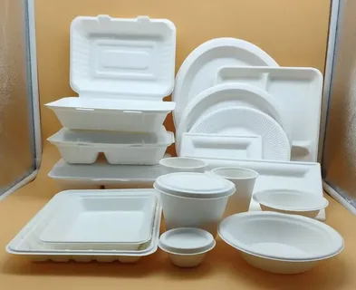 ظرف بیرون بر گیاهی مناسب غذا های گرم و سرد